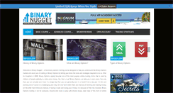 Desktop Screenshot of binarynugget.com